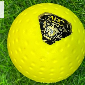 Foam Practice Ball – Lightweight Training Ball