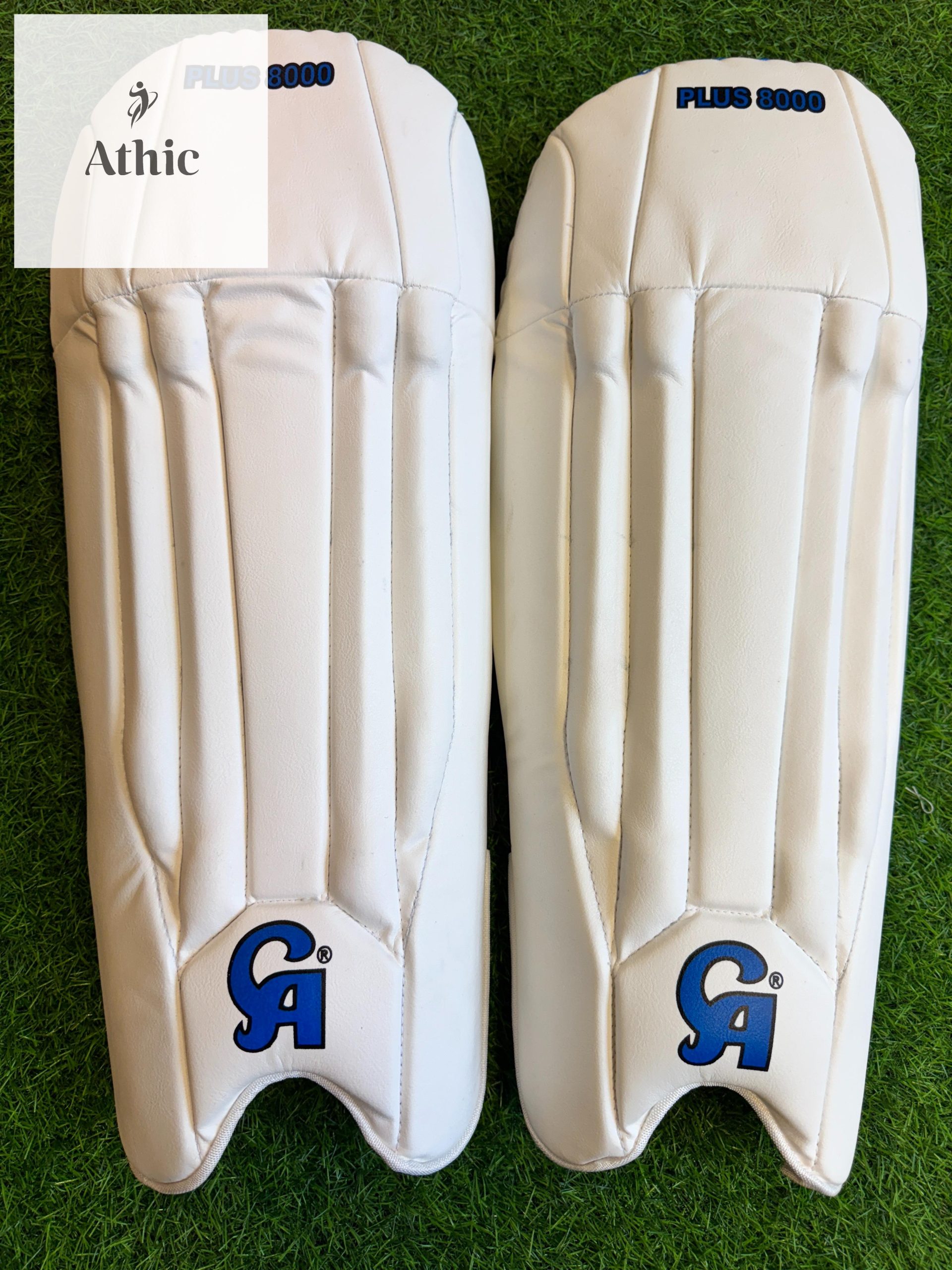 CA Plus 8000 Wicket Keeping Pads